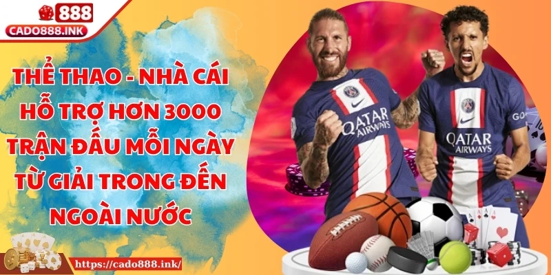 Thể thao - Nhà cái hỗ trợ hơn 3000 trận đấu mỗi ngày từ giải trong đến ngoài nước