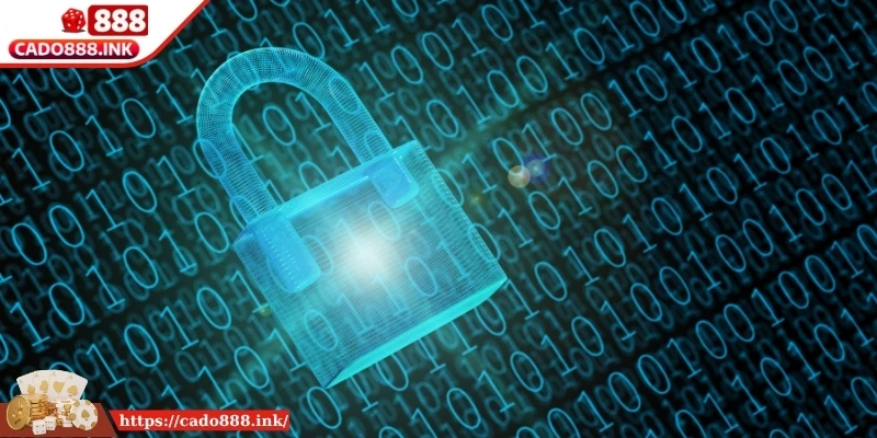 Phương pháp bảo mật dữ liệu đã thu thập từ hội viên