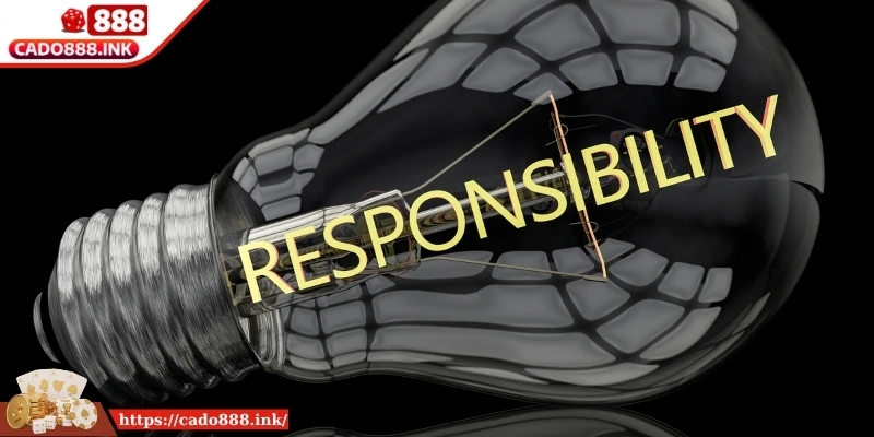 Nền tảng hình thành từ tiêu chuẩn quốc tế và thực tiễn vận hành