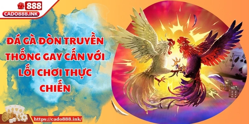 Đá Gà Đòn Truyền Thống Gay Cấn Với Lối Chơi Thực Chiến