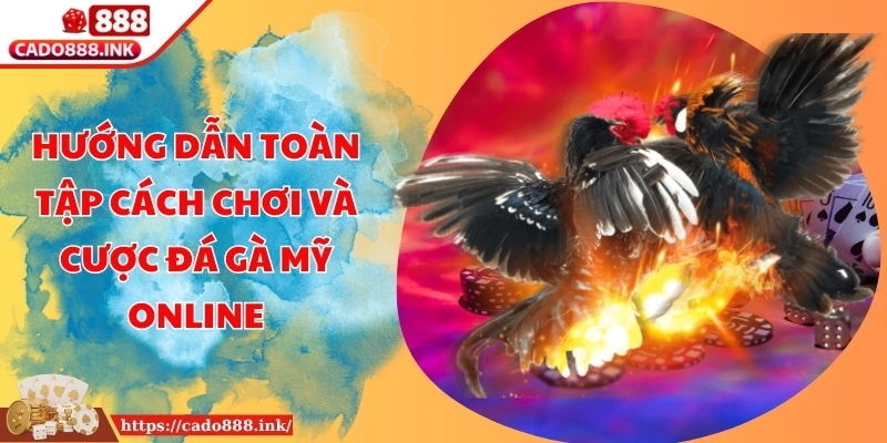 Hướng Dẫn Toàn Tập Cách Chơi Và Cược Đá Gà Mỹ Online