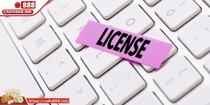 Khám phá những lợi ích của giấy phép mang lại cho hệ thống